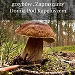Pod Kapeluszem Nad Jeziorem Patulskim,sauna , Opcja Balii,kuligi,stok Koszalkowo Casa vacanze Pierszczewo