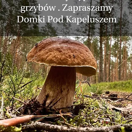 Domek Pod Kapeluszem Nad Jeziorem Patulskim,Sauna , Opcja Balii,Wedkowanie,Rowery Casa vacanze Pierszczewo